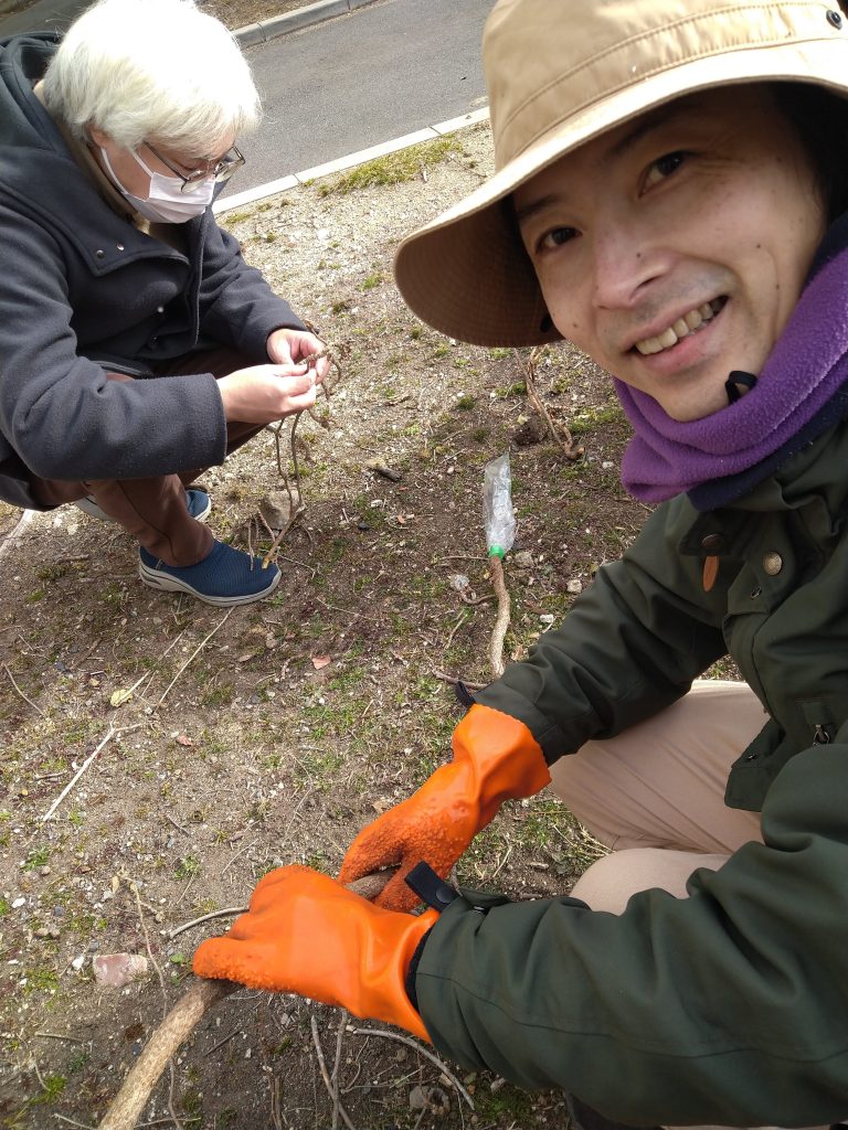 ナツヅタの皮むき